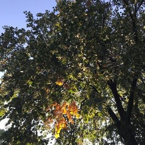 Meet your Posher, Penelope